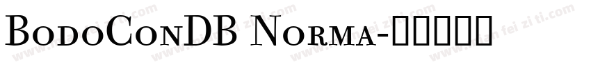 BodoConDB Norma字体转换